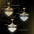 Elegant chandeliers and ceiling fans by Glow Mahal featuring the exquisite Black Mamba chandelier design