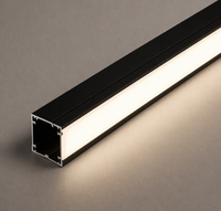 LED Profile Light