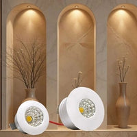 Niche Lights